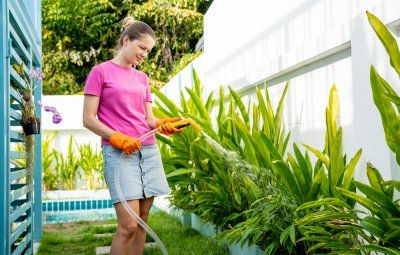 shutterstock_2443717481.jpg