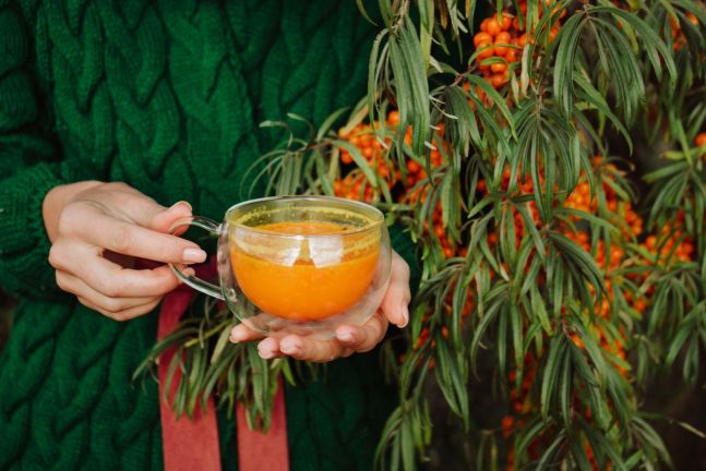 shutterstock_2254000051.jpg shutterstock_2254000051.jpg